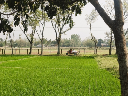 Agriculture & Rural Development