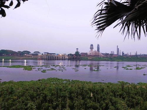 Environment & Sustainability